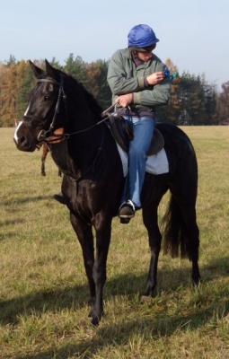 2009 Zdelovsk hubert